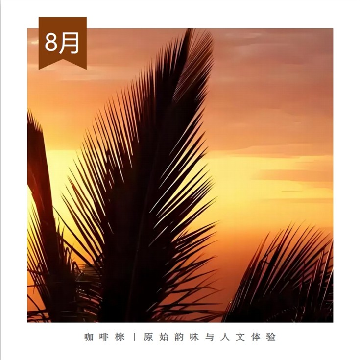 8.咖啡棕的原創魅力與人文體驗