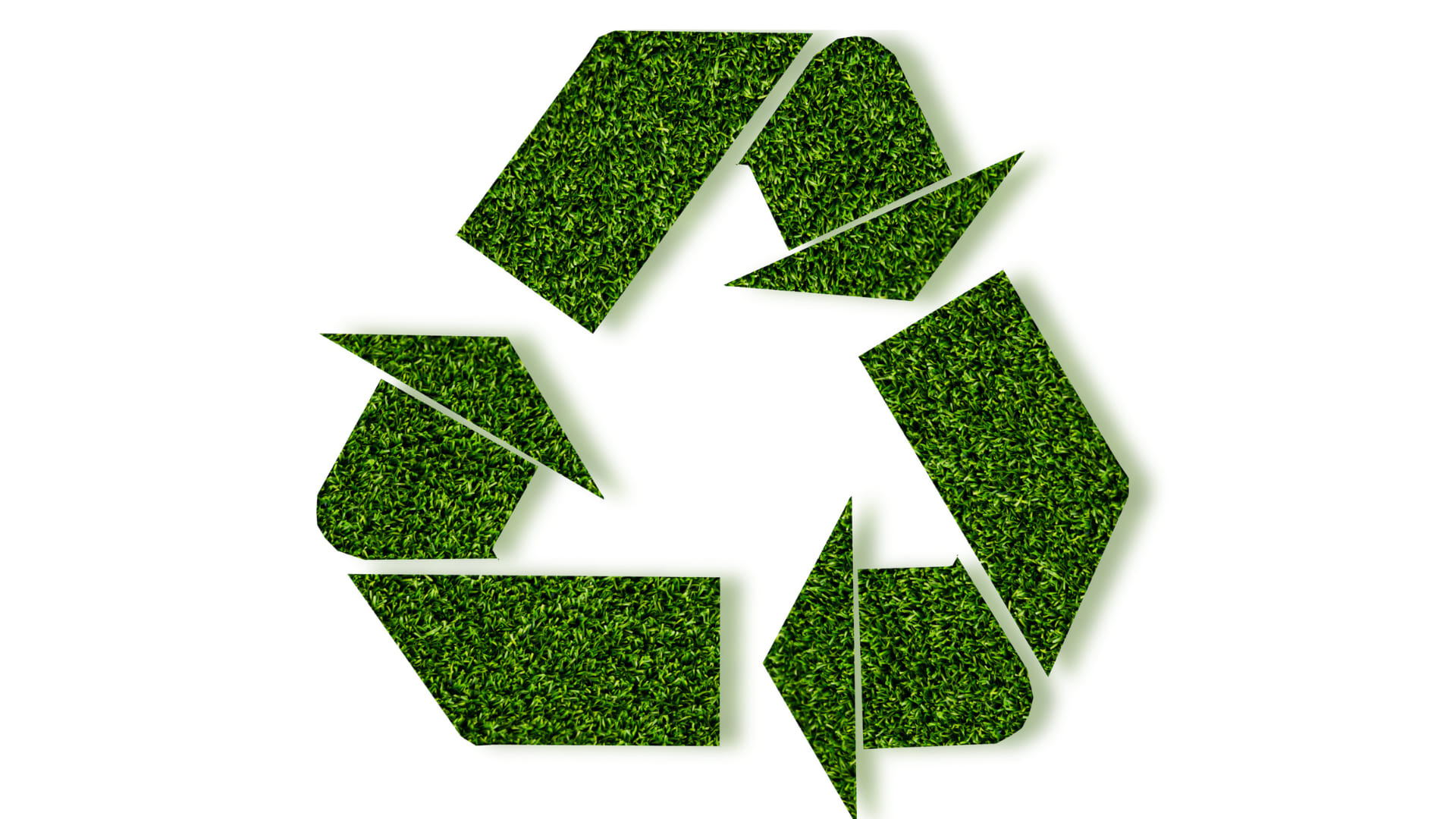 Waste Reduction .jpg