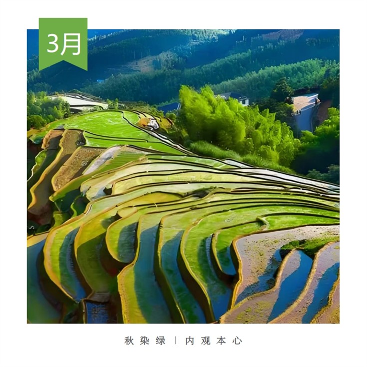 3.秋綠心之內省