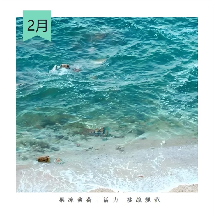 2.果凍薄荷活力挑戰標準